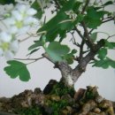 종삼목장 이미지