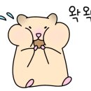 진숙맛집 이미지