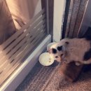 흥안빌딩 이미지