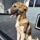 안의리마을회관 이미지