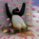 구두랑운동화랑 이미지