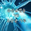 성화우리약국 이미지