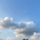 [신당누리도서관] 일상, 도서관, 책