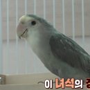 학계농장 이미지