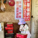 지아농장 이미지