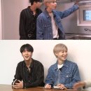 개귀여워 이미지