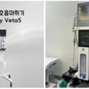 남천동물병원 네이버블로그