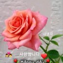 행복한아침