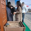 한빛펜션 이미지