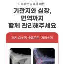 밸런스펫츠 이미지