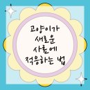 대경동물병원 | 연수구동물병원에서 고양이 사료 적응하기