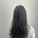 송하디자인