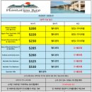 플랜엑스피