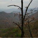 사기막리 이미지