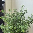 명주 행정사사무소 이미지