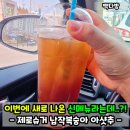 에스케이다방 | 빽다방신메뉴 제로슈거 납작복숭아 아샷추! 아이스티 가격 칼로리 후기!