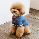 비커밍스튜디오 이미지