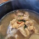 한양막국수;상황버섯반계탕