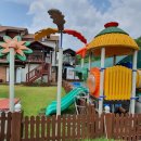 늘빛강가 이미지