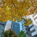 상계벽산아파트 앞 버스정류장 네이버블로그