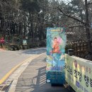 내원정사유치원 | 부산 내원정사 템플스테이 1박 2일 힐링의 숲 추천 후기