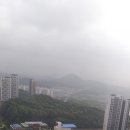 초지시장로 이미지