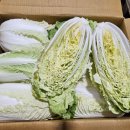 여주-0254 Daum카페