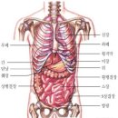 간단히 하는 소금물 장 청소법 이미지