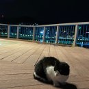 운하1길 이미지