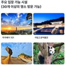 금광농장 | 대만 여행 필수 타이베이 펀패스 완벽 가이드! 교통 무제한 + 인기 명소 할인, 얼마나 아낄 수 있을까?