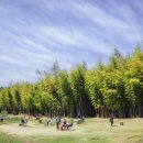 대한목장 이미지