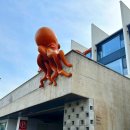 해와달 무인호텔 | 포항 풀빌라 오션뷰 숙소 레드하우스오션힐즈 해돋이펜션 온수풀장 방문 후기