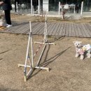 피터펫카페본점 이미지