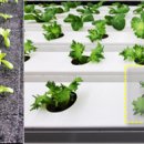 김기수농장 이미지