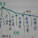 합수목의 봄 이미지