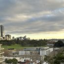 (주)유인케어 | 240626-240702 🇦🇺 시드니 DAY6,7(타롱가주, 휴버트, 티웨이)