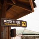비양 민박 네이버블로그