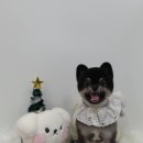 싹독할가영 이미지