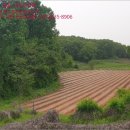 당하1리 이미지