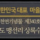 완도 맹선리 상록수림 이미지