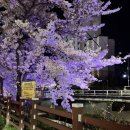 지에스25 천안원성천점 이미지