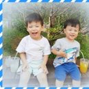 세준푸드 농업회사법인 주식회사 네이버블로그