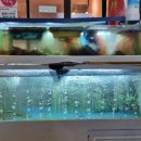 미야포차 | 미야미야회포차 경성대 횟집 부산 대방어 맛집 솔직후기