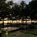 문암생태공원 캠핑장 이미지