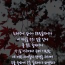 애가