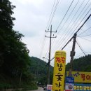 영산법화사 Daum카페
