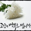 의료법인 수성의료재단 이미지