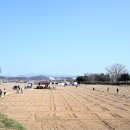 선정자농장 이미지