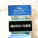 (주)디비비에스 | 부활절계란포장 포장케이스 부활절계란선물 후기
