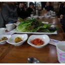 평지돌담집